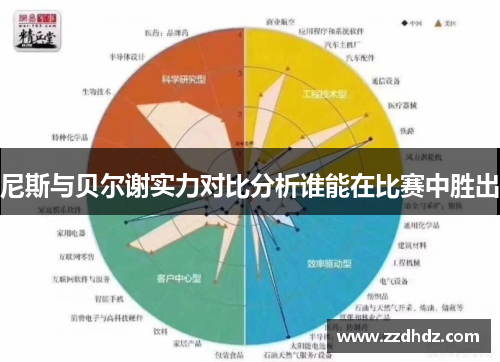 尼斯与贝尔谢实力对比分析谁能在比赛中胜出