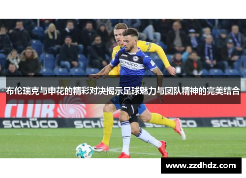 布伦瑞克与申花的精彩对决揭示足球魅力与团队精神的完美结合